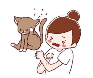 猫アレルギーの症状と対策