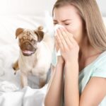犬アレルギーの症状と対策