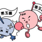コレステロールの種類・特性と働き