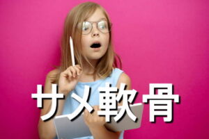 サメ軟骨の効果・摂取量・食材・サプリメント