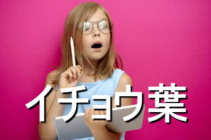 イチョウ葉の効果・摂取量・食材・サプリメント