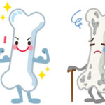 更年期に骨を強くする