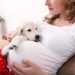 ペットから赤ちゃん・妊婦への病気の感染
