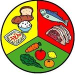 三大栄養素とは? | 体脂肪の用語集