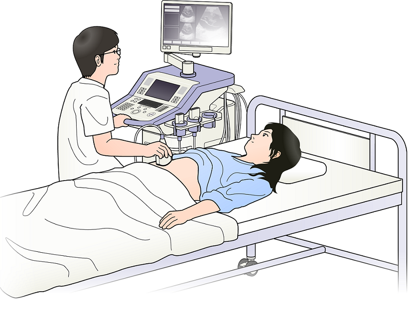 超音波検査とは | 妊娠の用語集