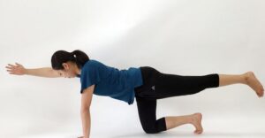 体幹（たいかん）とは？ | 体脂肪の用語集